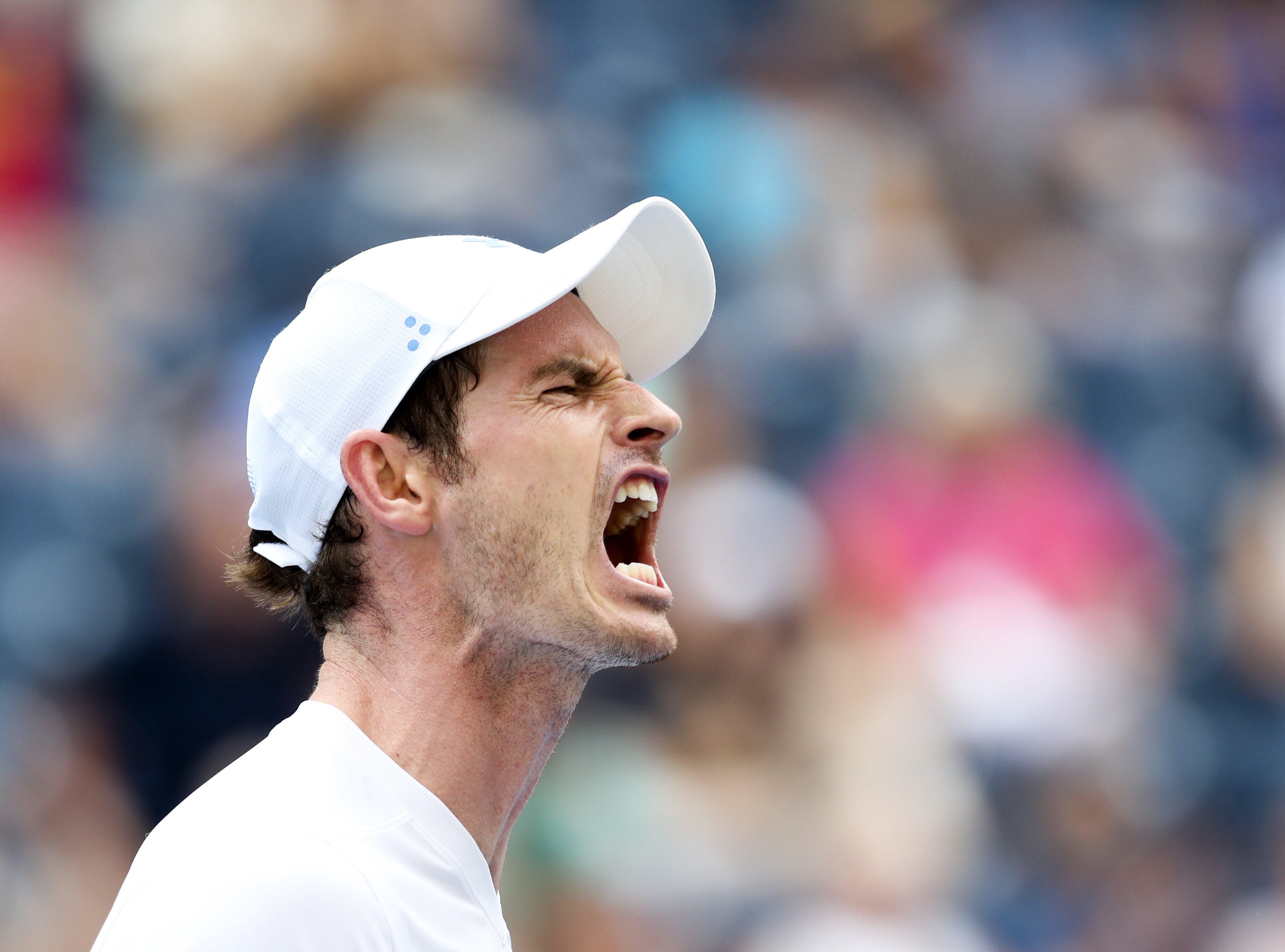 欧博-关于穆雷迎来二十赛季高光表现，MAD球迷沸腾！的信息